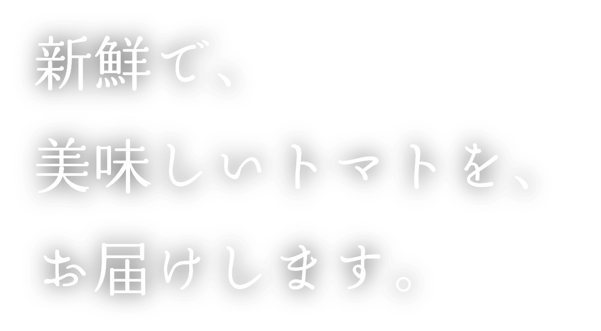 新鮮で、美味しいトマトを、お届けします。